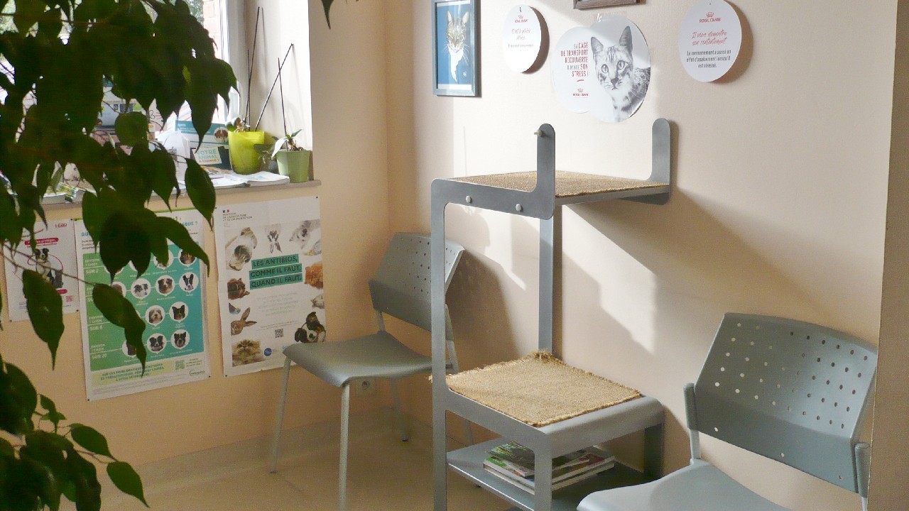 Espace d'attente chat